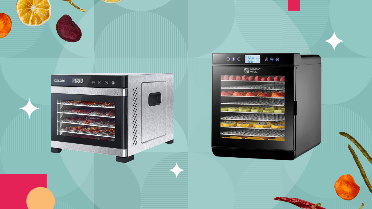 Top 10 food dehydrators 2020 discount